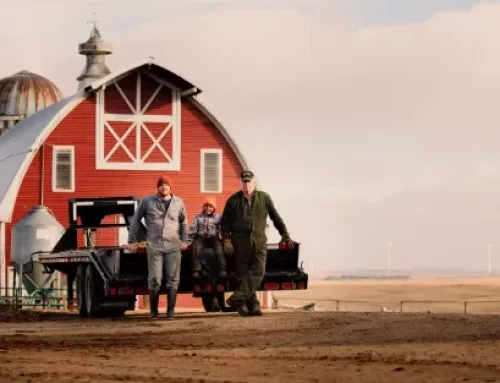 The Future of Farming Is in Crisis – Here’s What’s Being Done