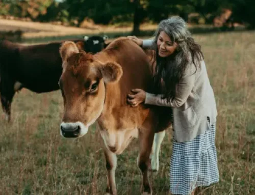 Achieve a more simple way of life My Misson